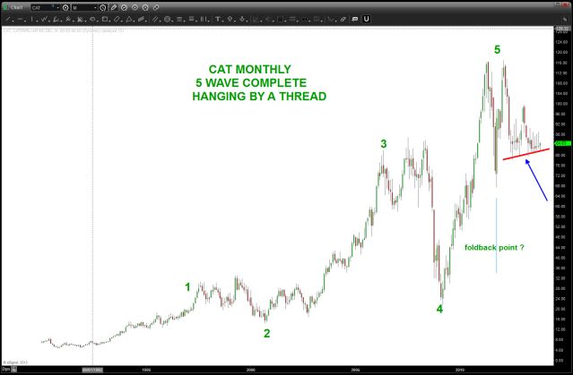 NOVember 27 2013 cat