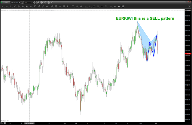 EUROKIWI sell pattern result from 12/05.