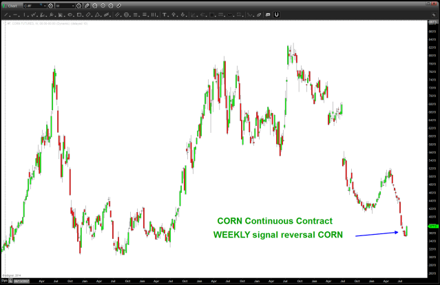 Corn Continuous