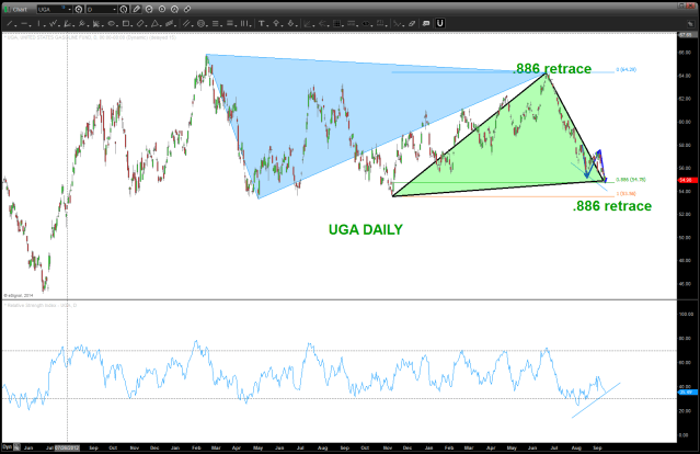 UGA DAILY