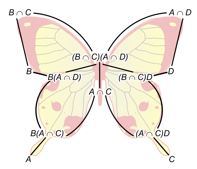 2000px-Butterfly_lemma.svg