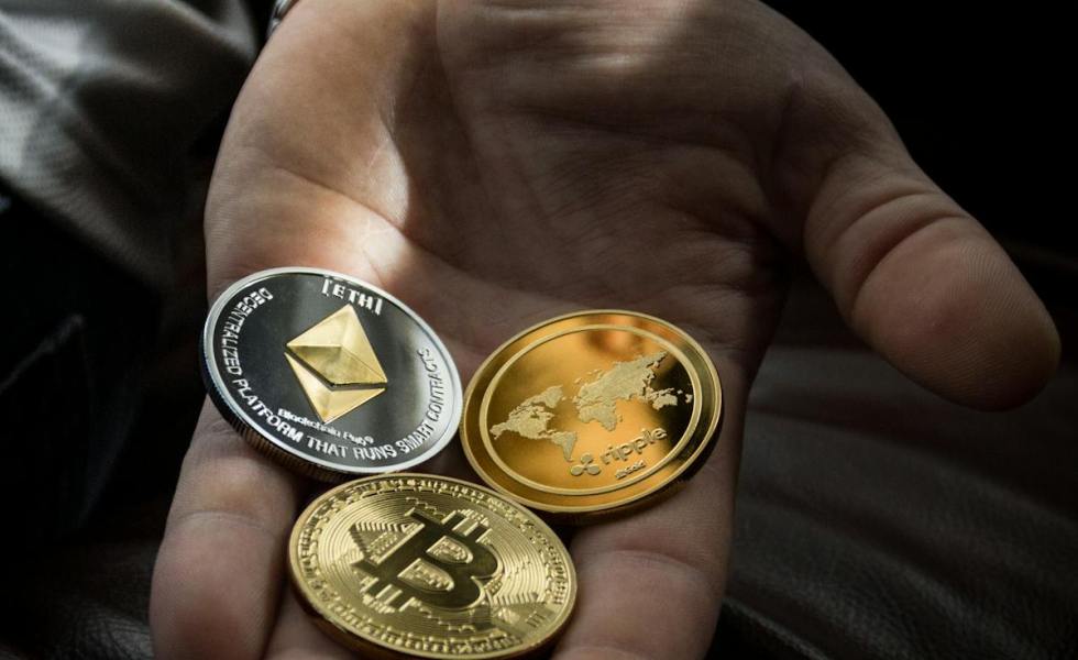 closeup photo of three round coins in person s palm
