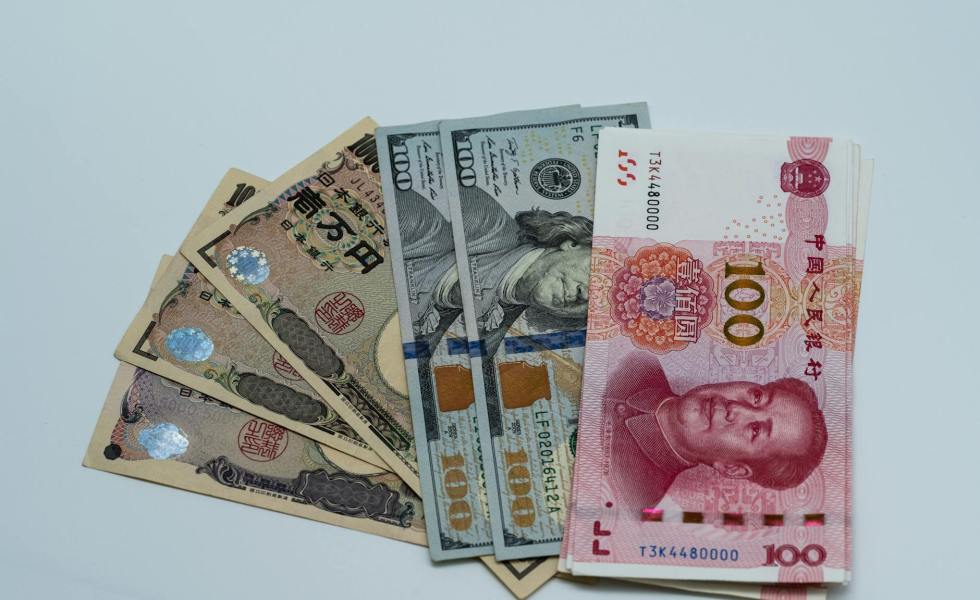 assorted international currency bills on display